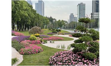 來(lái)現(xiàn)場(chǎng)打卡，感受“美麗無(wú)錫”的美好